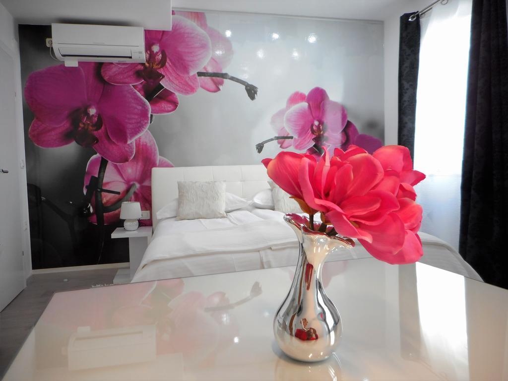 Apartment Palladium Center Makarska